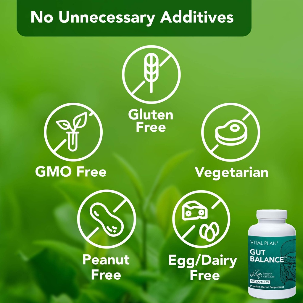vital-plan-gut-balance-supplement-by-dr--3.jpg