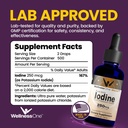 wellnessone-iodine-drops-for-thyroid-sup-2.jpg