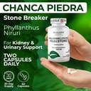 hallusa-natural-hallchancapiedra-1000-mg-3.jpg