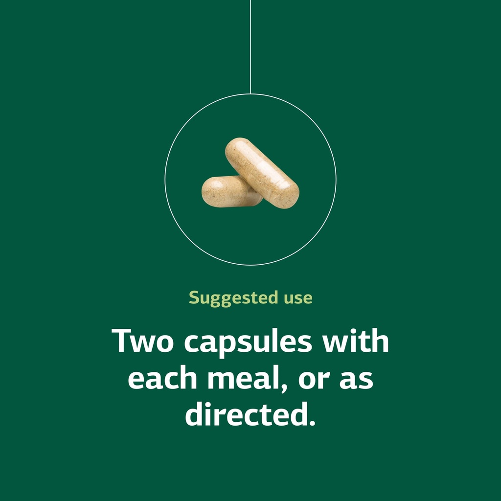 standard-process-fen-cho-digestive-gut-h-5.jpg