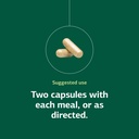 standard-process-fen-cho-digestive-gut-h-5.jpg
