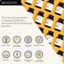 blisque-natural-adrenal-support-suppleme-2.jpg