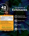 herb-pharm-certified-organic-echinacea-r-2.jpg