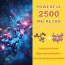 acetyl-l-carnitine-gummies-sugar-free-pr-3.jpg