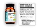 dr-wakde-s-ashwagandha-capsules-indian-g-3.jpg