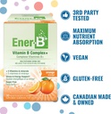 ener-b-sugar-free-multivitamin-drink-mix-6.jpg
