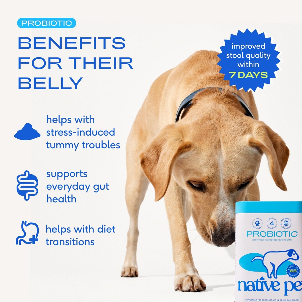 native-pet-goat-milk-powder-for-dogs-120-3.jpg