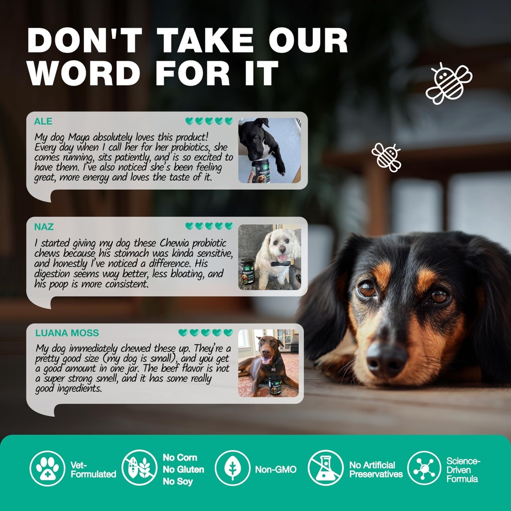 probiotics-for-dogs-gut-health-digestion-3.jpg