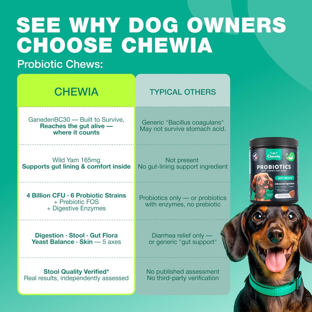 probiotics-for-dogs-gut-health-digestion-6.jpg
