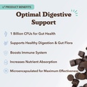 natural-dog-company-probiotics-for-dogs--3.jpg