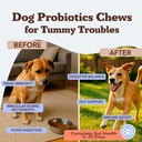 natural-dog-company-probiotics-for-dogs--2.jpg