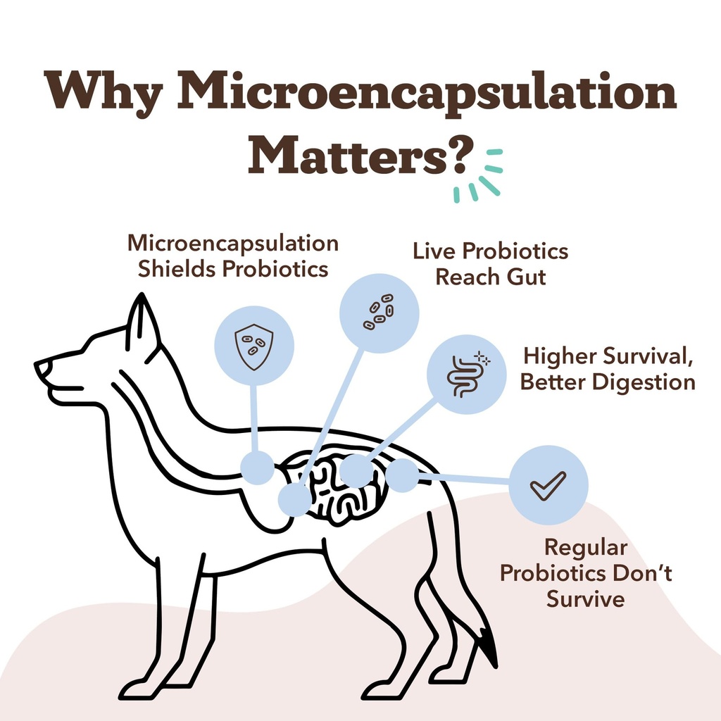 natural-dog-company-probiotics-for-dogs--4.jpg