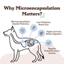 natural-dog-company-probiotics-for-dogs--4.jpg