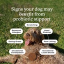 petlab-co-probiotics-for-dogs-support-gu-2.jpg