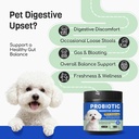 probiotics-for-dogs-10b-cfu-digestive-he-2.jpg