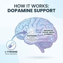 l-tyrosine-dopamine-brain-food-supplemen-3.jpg