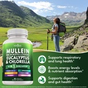 mullein-leaf-extract-for-lungs-cleanse-n-3.jpg