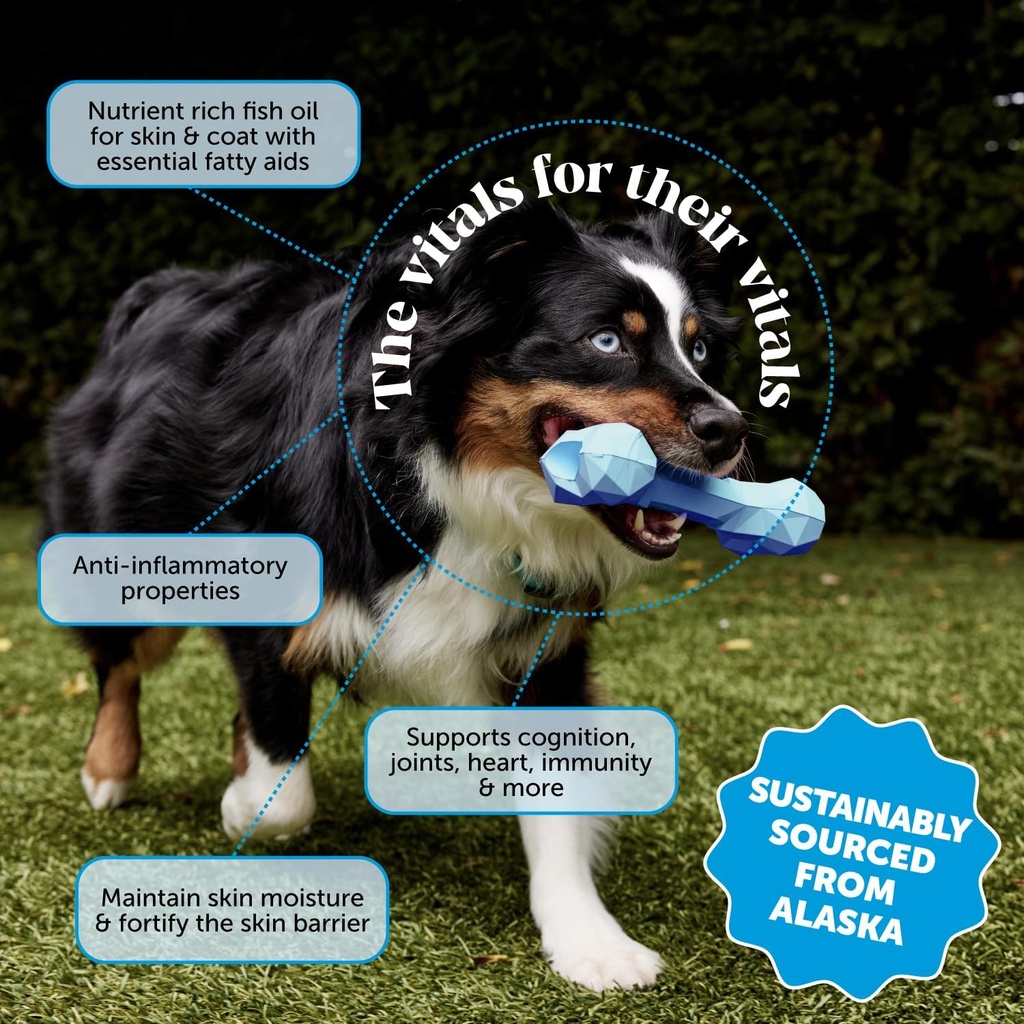 omega-3-fish-oil-supplement-for-dogs-cat-2.jpg