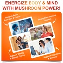 10-in-1-lions-mane-mushroom-supplement-w-4.jpg