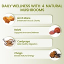 high-efficiency-mushroom-complex-supplem-3.jpg