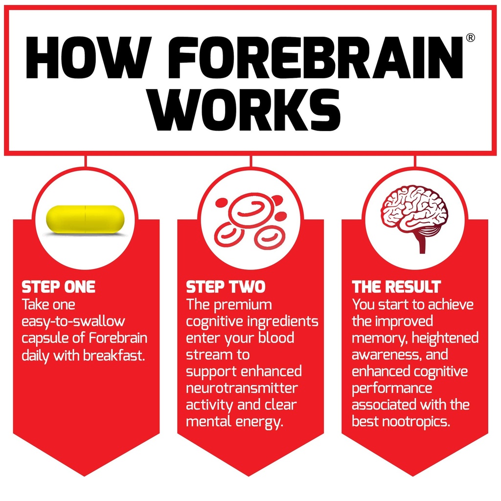 forebrain-nootropic-brain-supplement-to--4.jpg