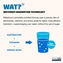 waterboy-daily-hydration-1-570mg-electro-6.jpg