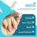focus-no-90-cognitive-enhancement-supple-3.jpg