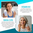 focus-no-90-cognitive-enhancement-supple-6.jpg