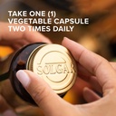 solgar-dlpa-500-mg-100-vegetable-capsule-3.jpg
