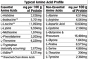 healthy-n-fit-100-whey-pro-amino-v2-0-va-3.jpg