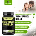 welbuda-8in1-cortisol-shield-ashwagandha-4.jpg