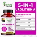 humming-herbs-urolithin-a-supplement-250-2.jpg