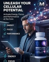 vantanex-mitofusion-cellular-wellness-he-5.jpg