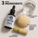 lion-s-mane-extract-mushroom-tincture-fo-4.jpg