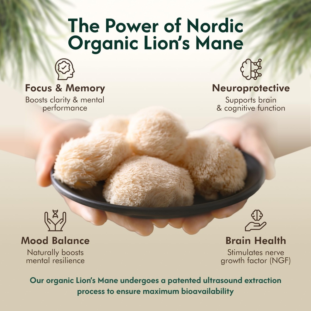 lion-s-mane-organic-mushroom-tincture-ul-3.jpg