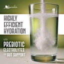 kevala-electrolytes-raspberry-powder-pac-3.jpg