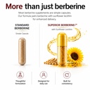 superior-formulas-berberine-1-100mg-blen-3.jpg