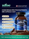 brain-support-dietary-supplement-with-ph-3.jpg