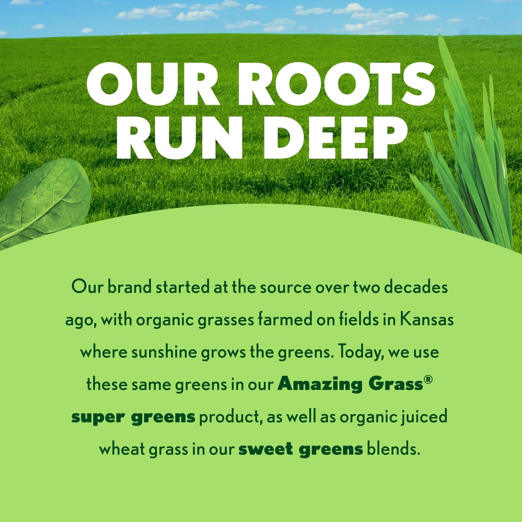 amazing-grass-super-greens-powder-antiox-5.jpg