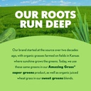 amazing-grass-super-greens-powder-antiox-5.jpg