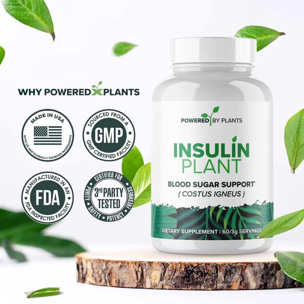 insulin-plant-capsules-3000mg-costus-ign-6.jpg