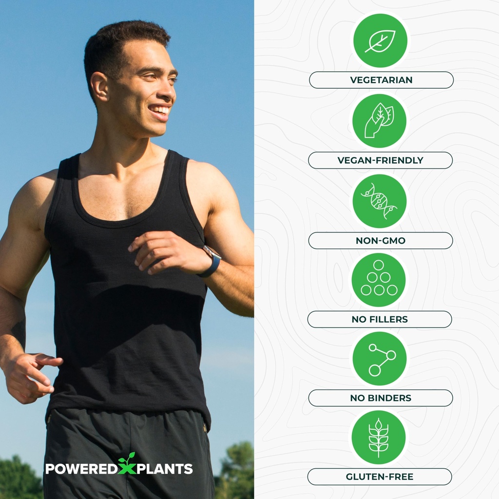 insulin-plant-capsules-3000mg-costus-ign-5.jpg