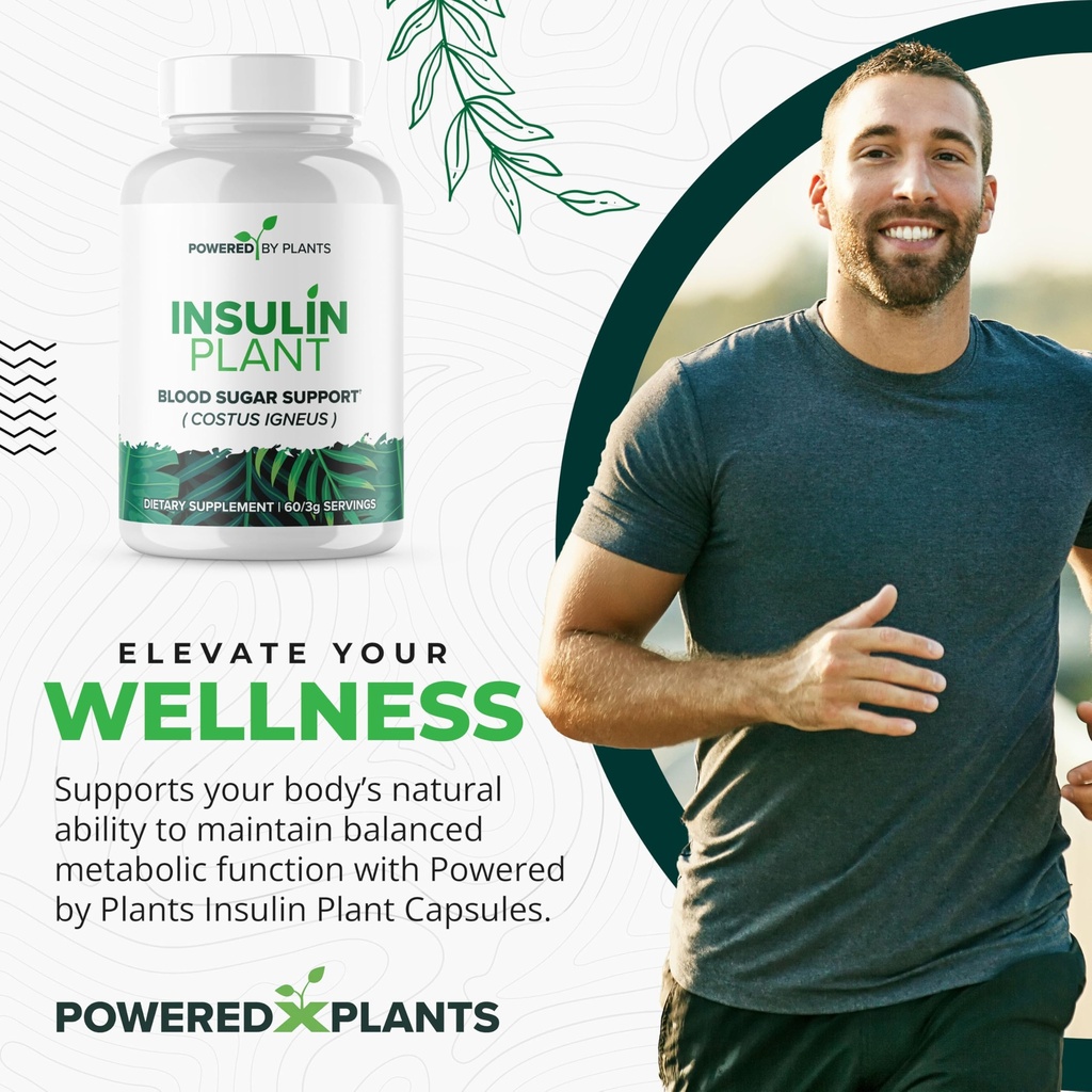 insulin-plant-capsules-3000mg-costus-ign-2.jpg
