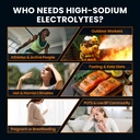 venture-pal-high-sodium-electrolyte-powd-5.jpg
