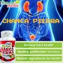 chanca-piedra-premium-100-capsules-peruv-2.jpg