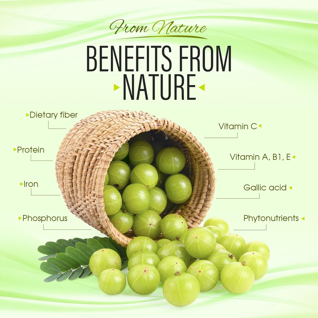 amla-superfruit-capsules-organic-indian--6.jpg