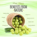 amla-superfruit-capsules-organic-indian--6.jpg