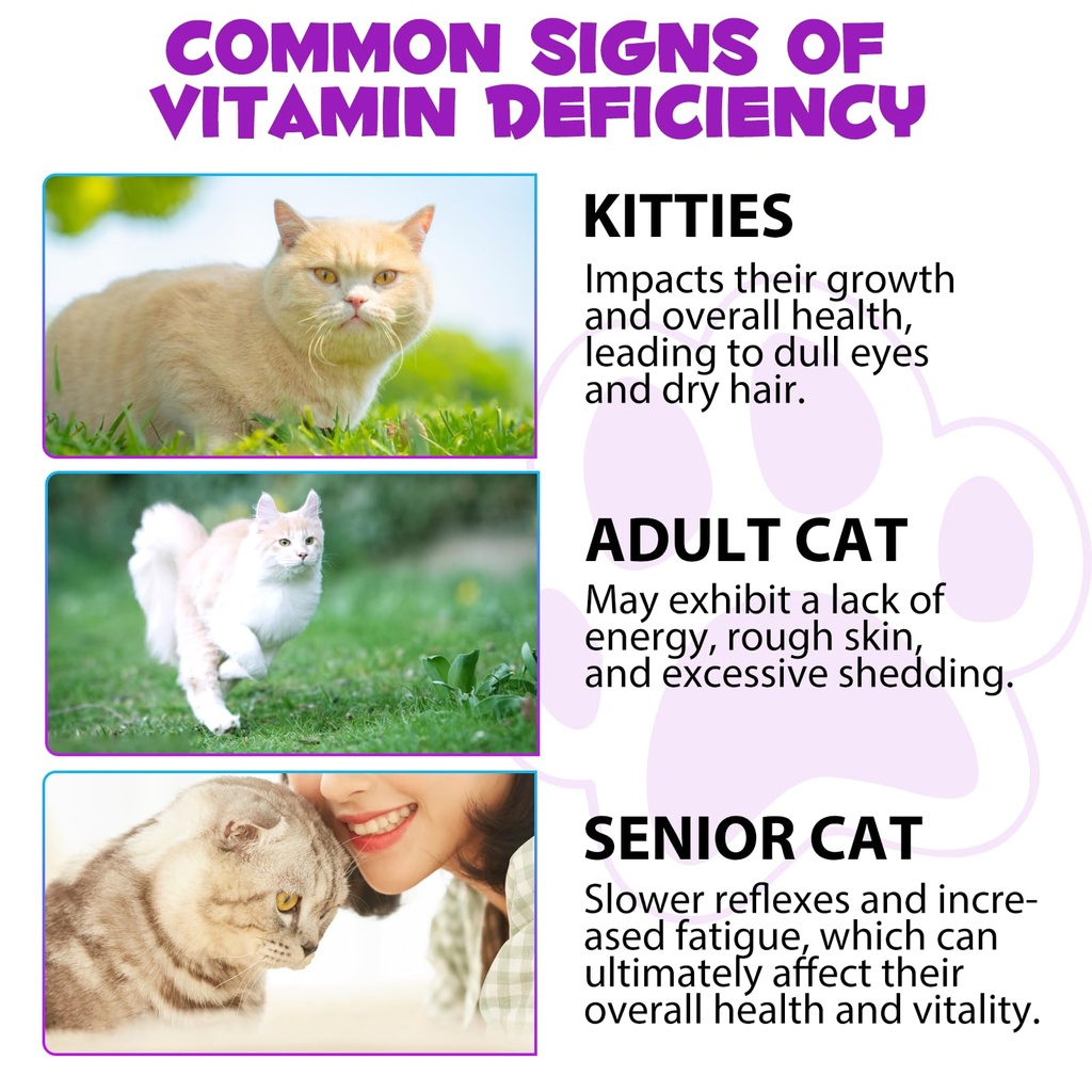 cat-multivitamin-15-in-1-cat-vitamins-an-4.jpg