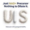 nad-supplement-500mg-nicotinamide-ribosi-3.jpg