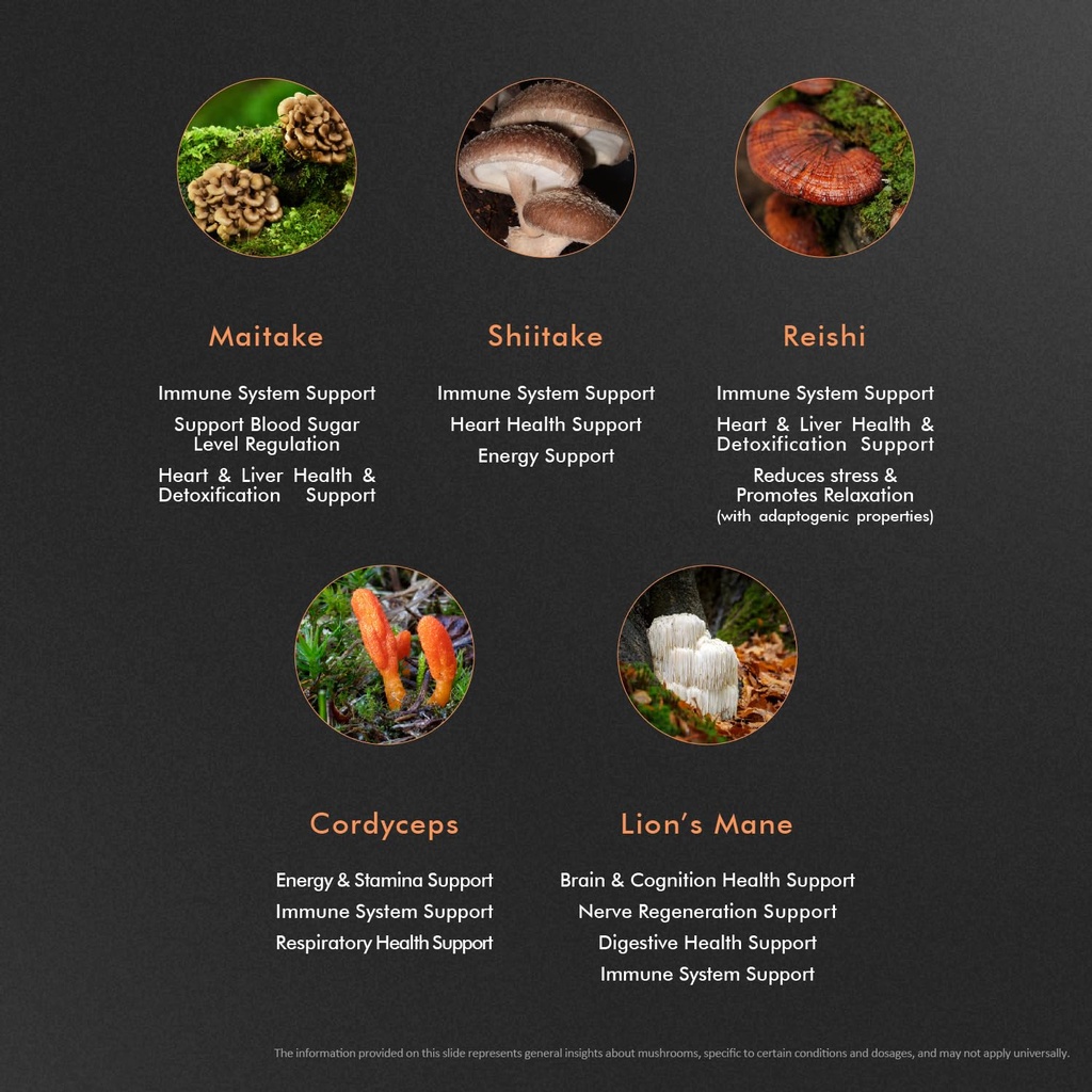 5-mushroom-complex-lion-s-mane-reishi-co-6.jpg